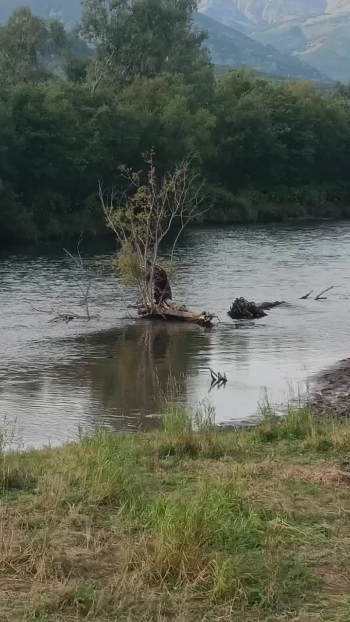 @Не повторять !!!
