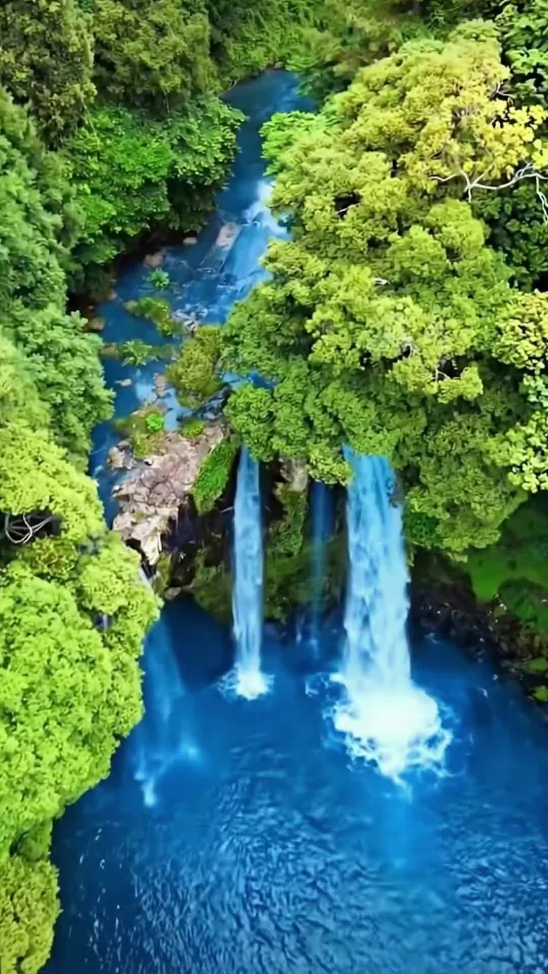 @베네딕트