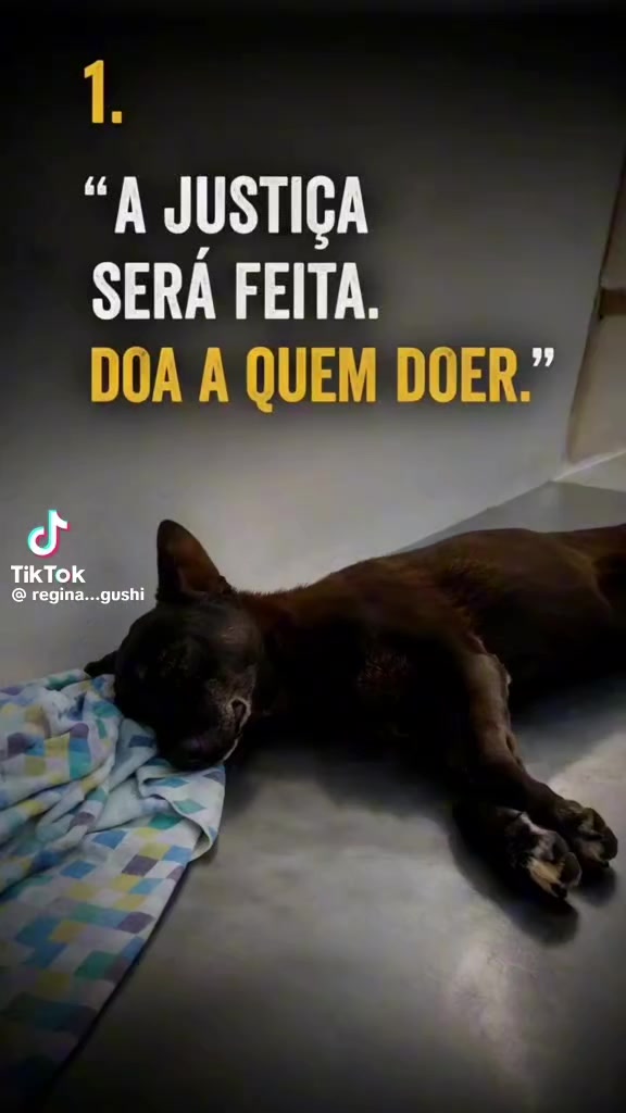 @Marta sobrevivencialismo👊