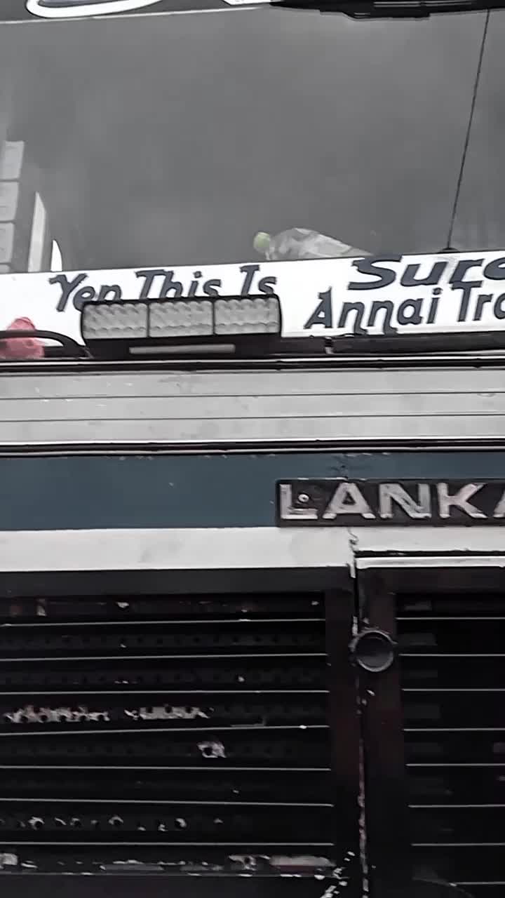 @bus lover ❤️❤️