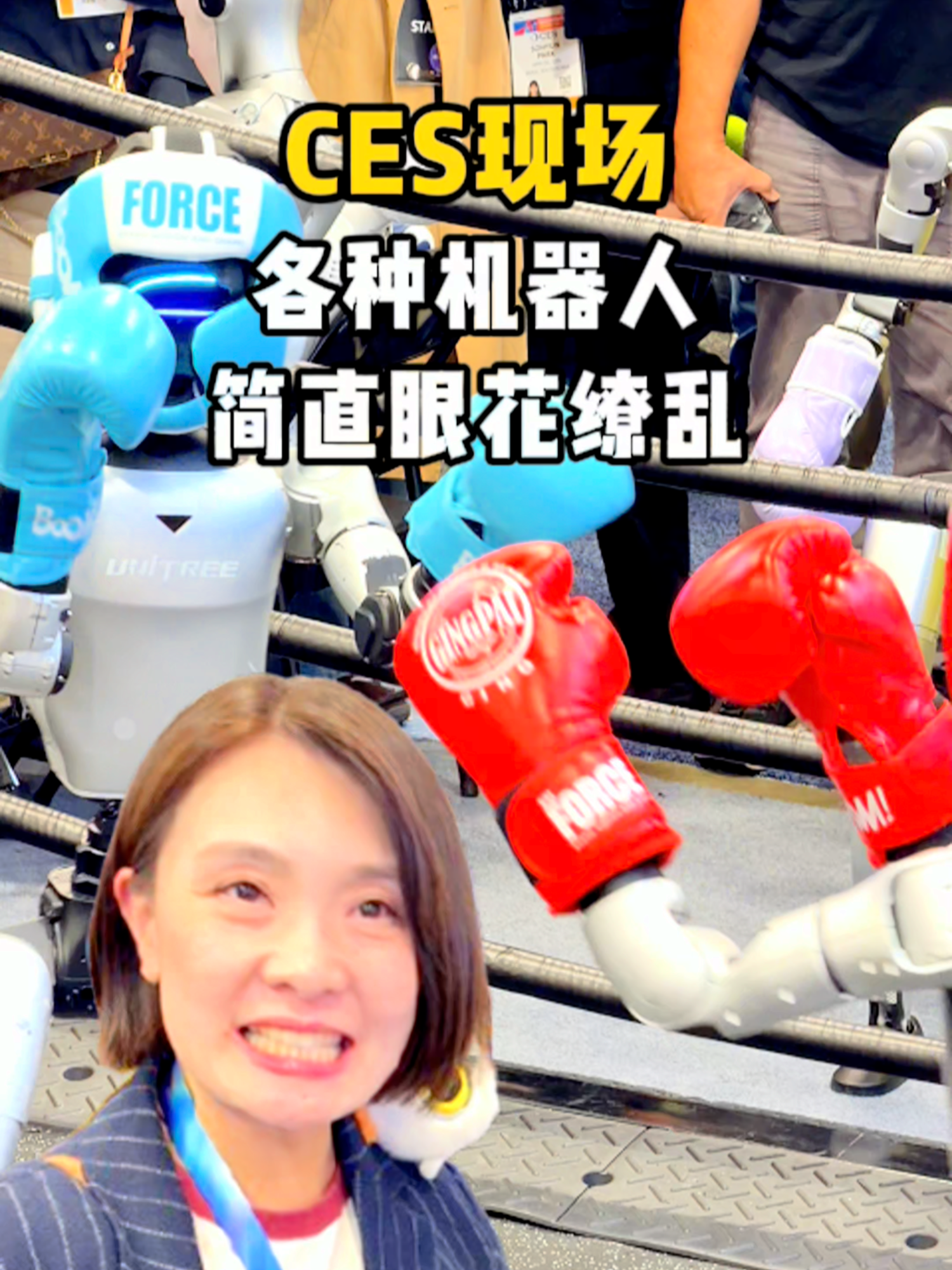 @凤凰美洲