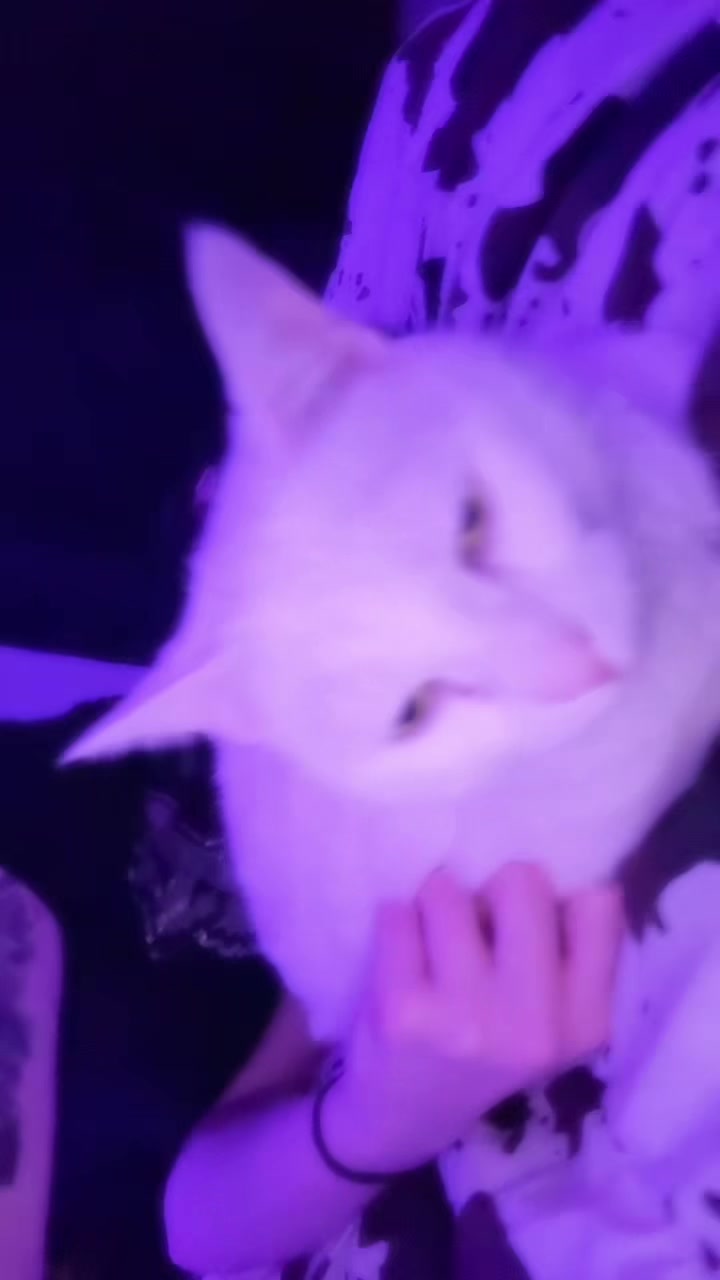 @๐๐ช๐ญ๐ญ๐ฒ๐ฎ ๐ค