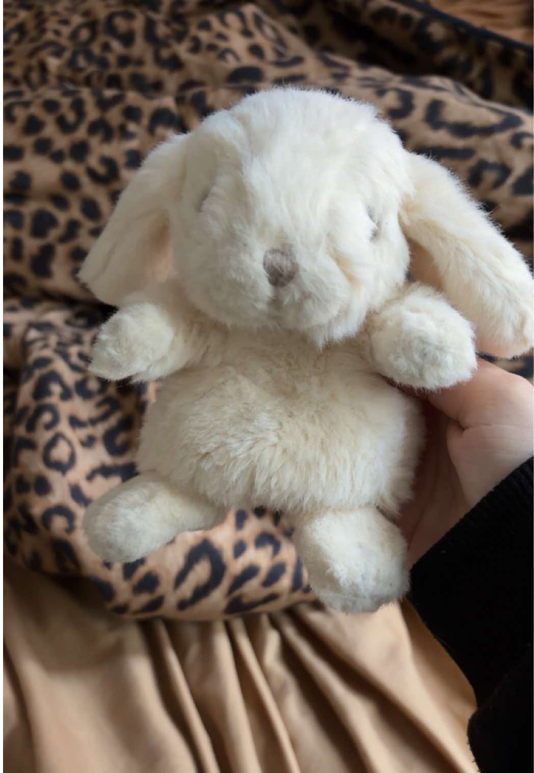 @dihhnika🧁🫧🐾