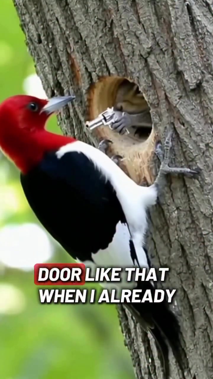@Droop314