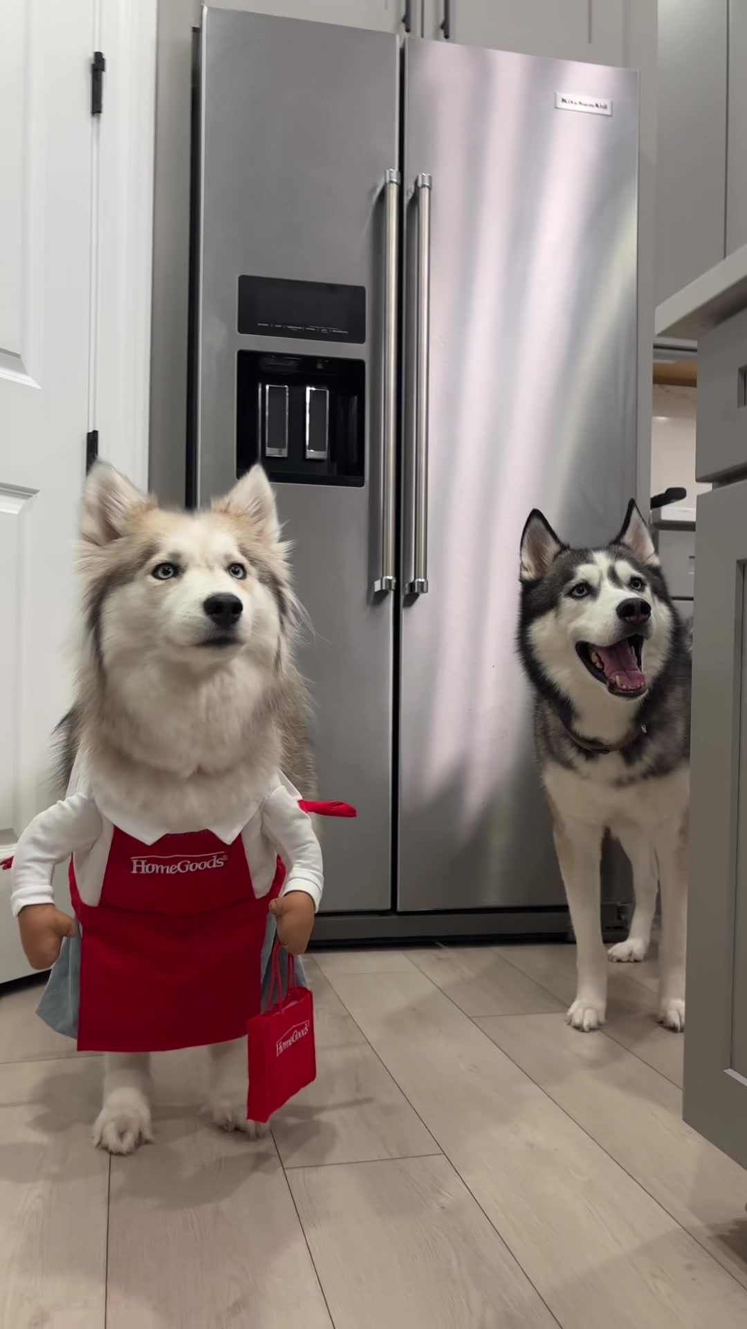 @lifewith2huskies