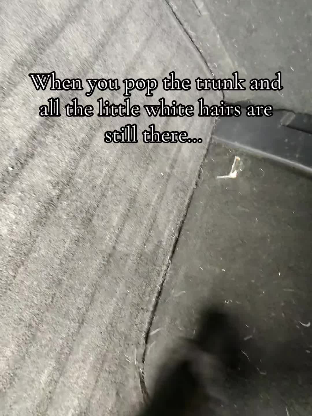 @kylerothrock