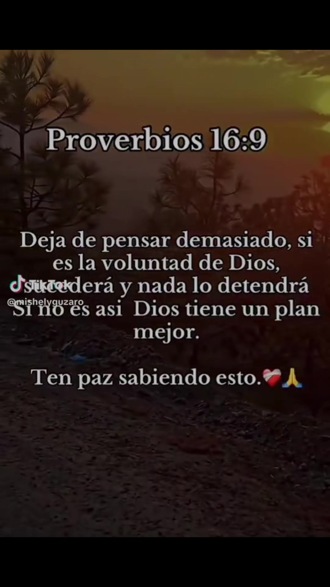 @mariasolis