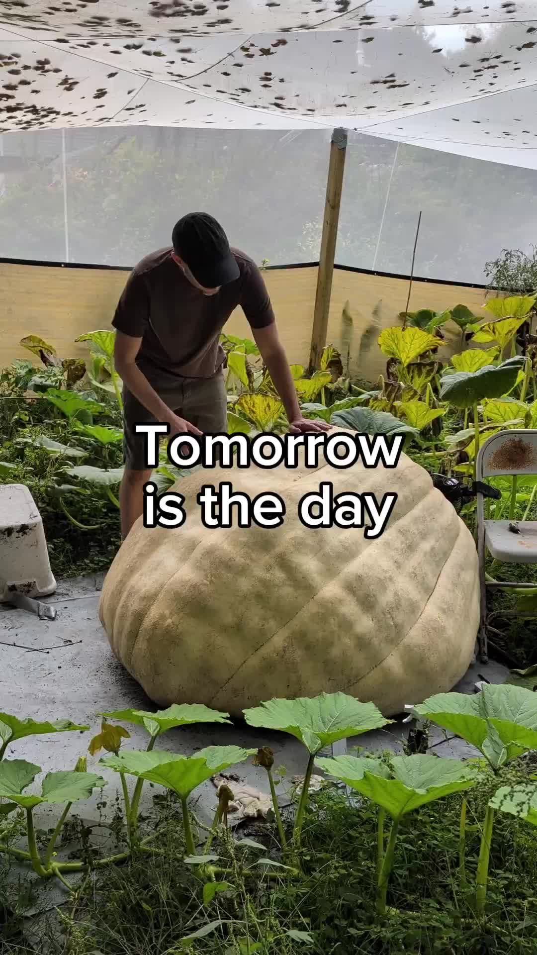 @bigpumpki