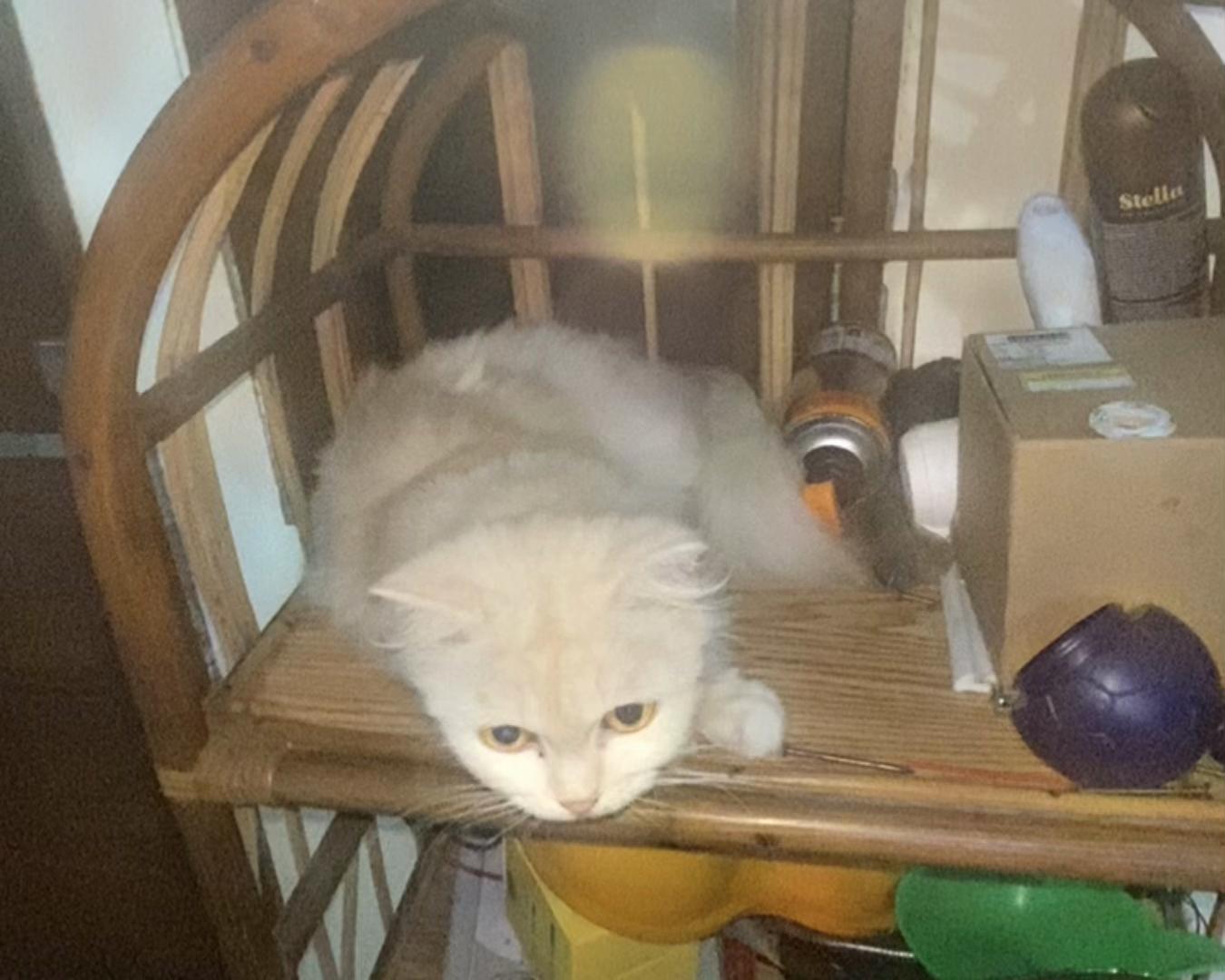 @NFZ ‼️