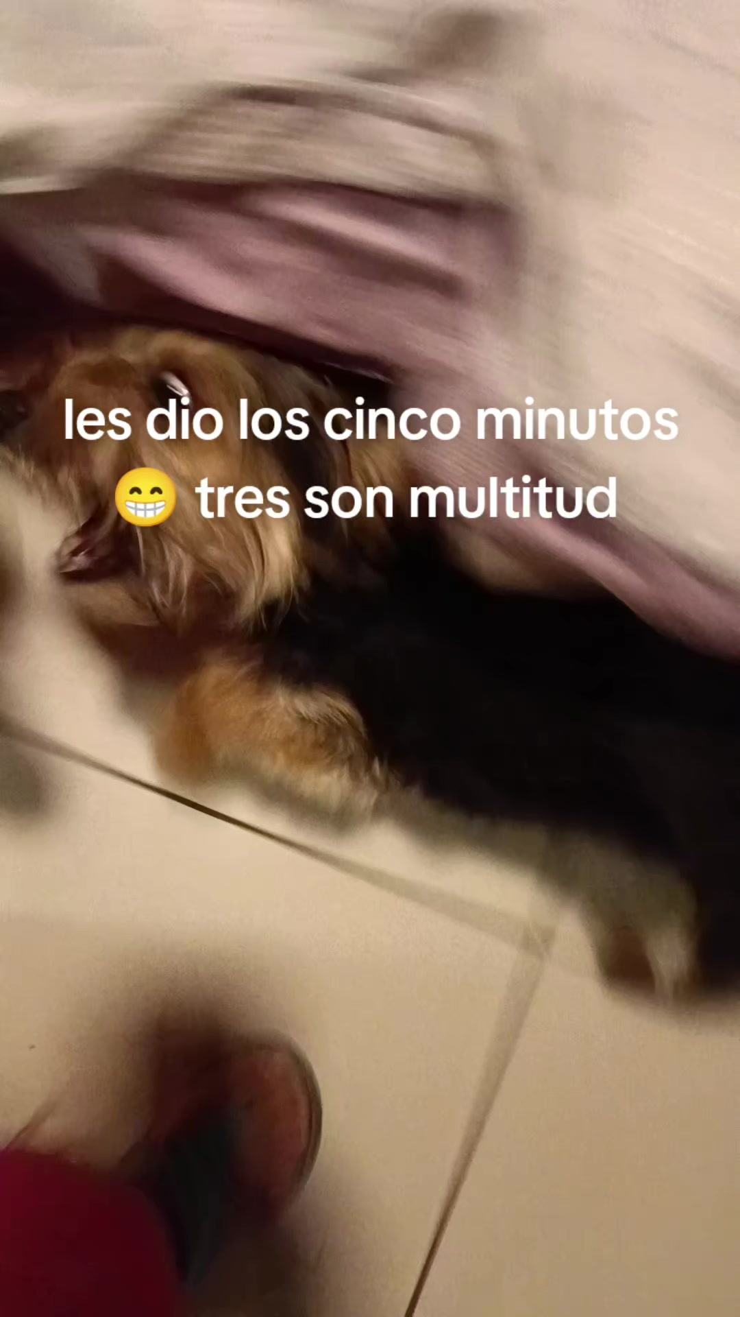 @@tiasussyvirtual