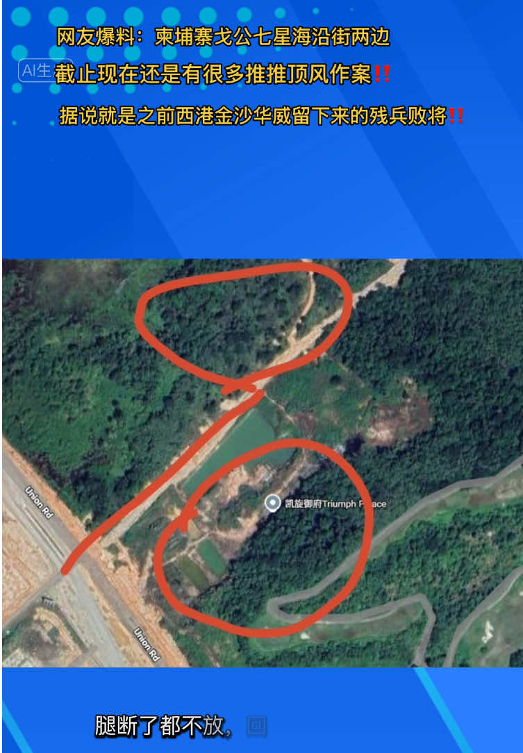 @东南亚华人大事件-小嘉