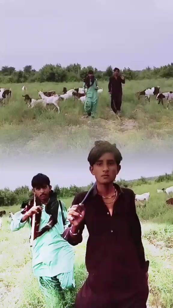 @Bijjar ali