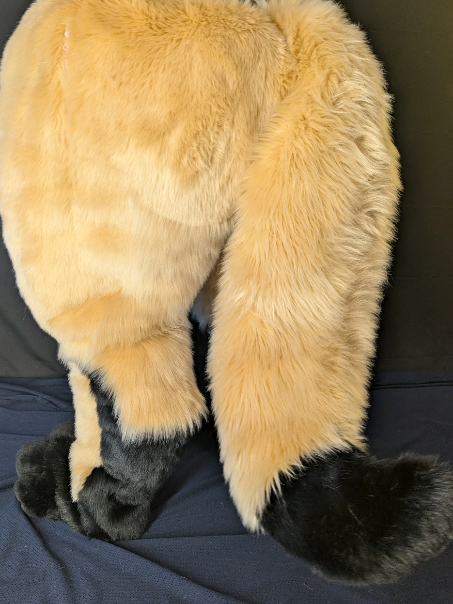 @GnollPatrol