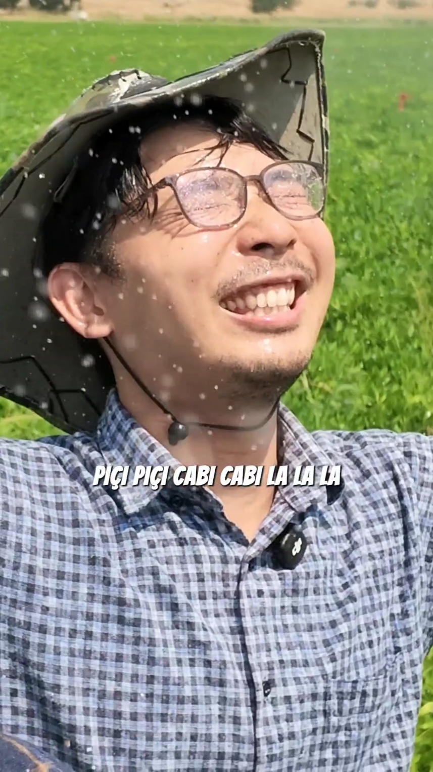 @Yoshi