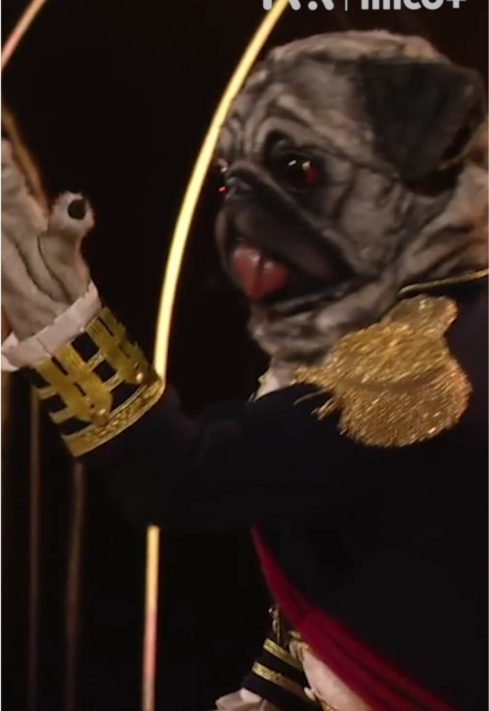 @Chanteurs masqu&eacute;s