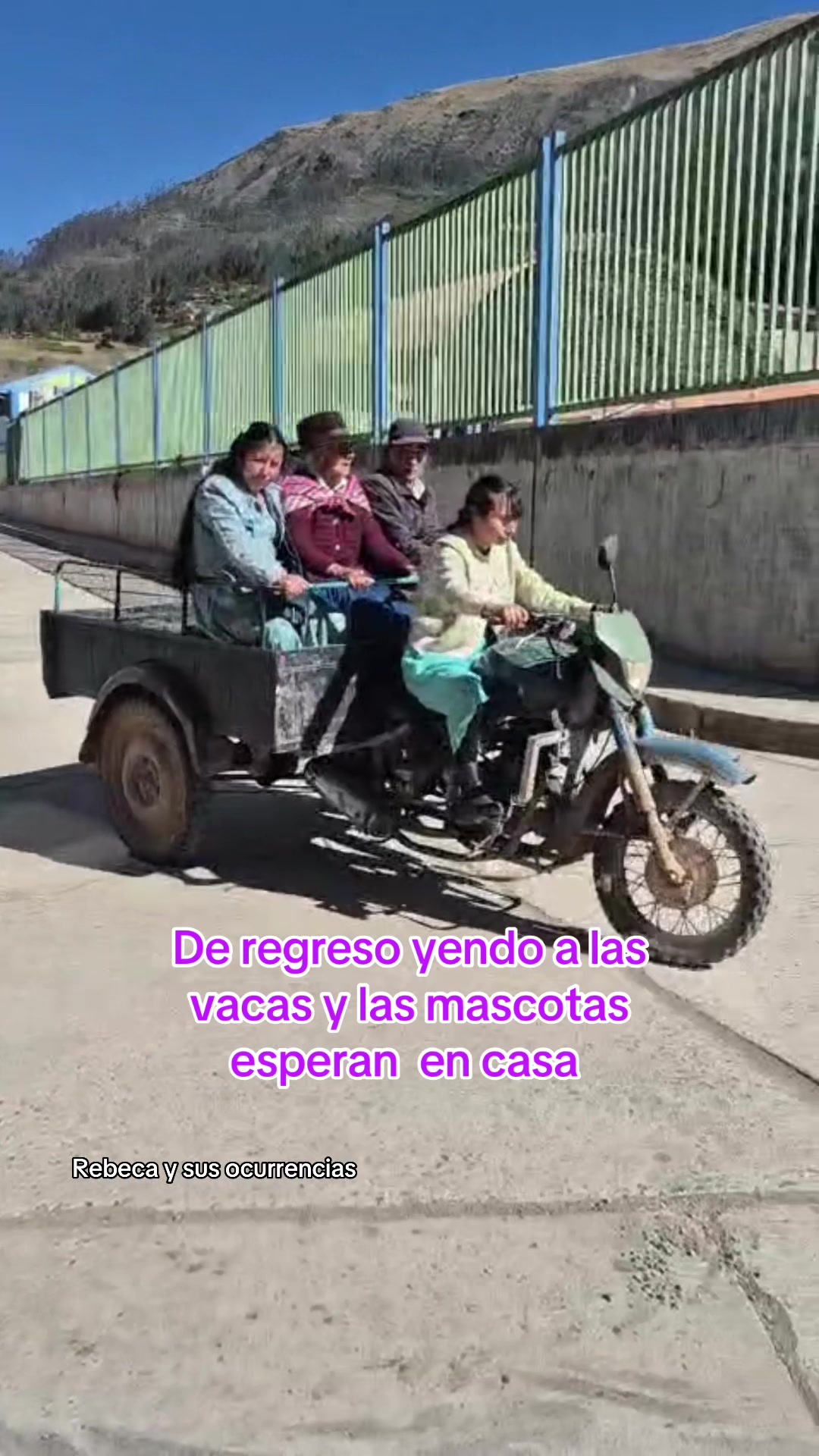 @🐈Rebeca y sus ocurrencias