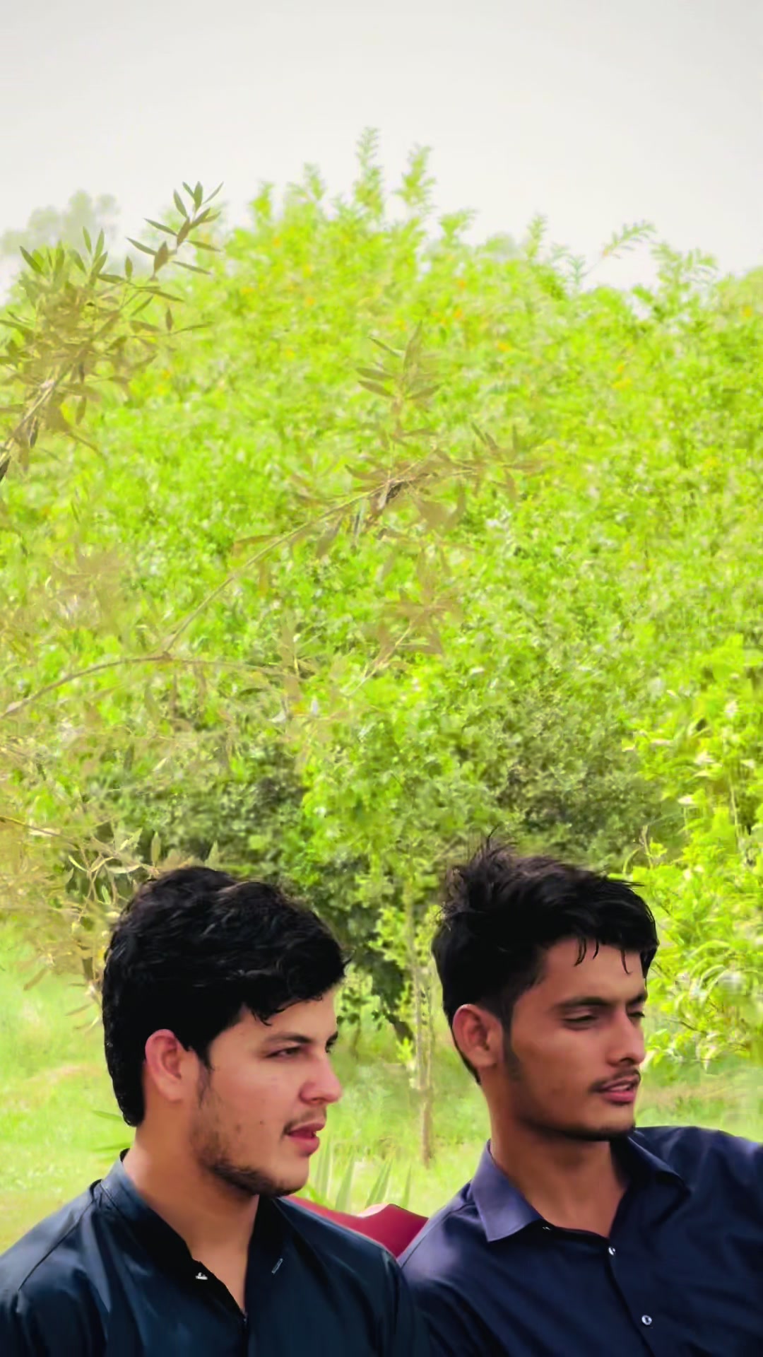 @ladlabhatti