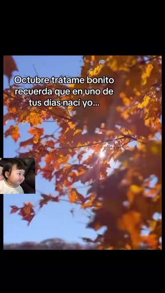 @clau ๐๐๐ท