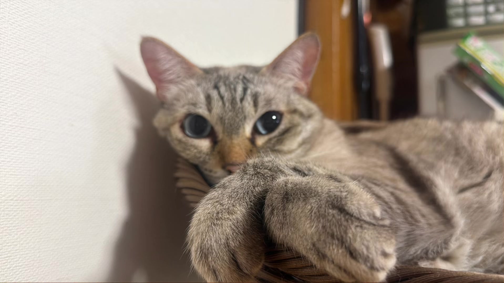 @てるぼー