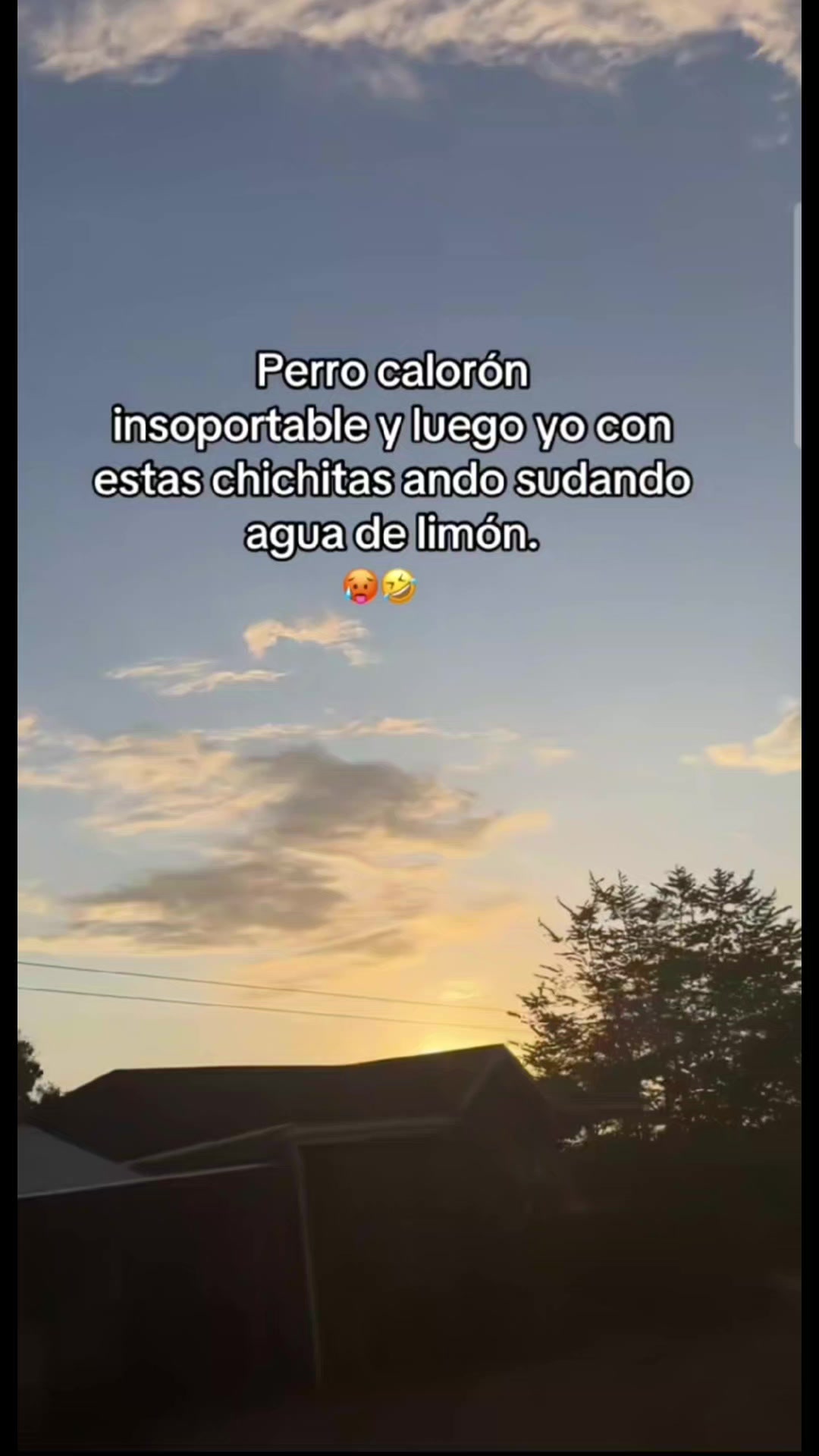 @🐼𝗖𝗵𝗶𝗞𝘆💀🩷