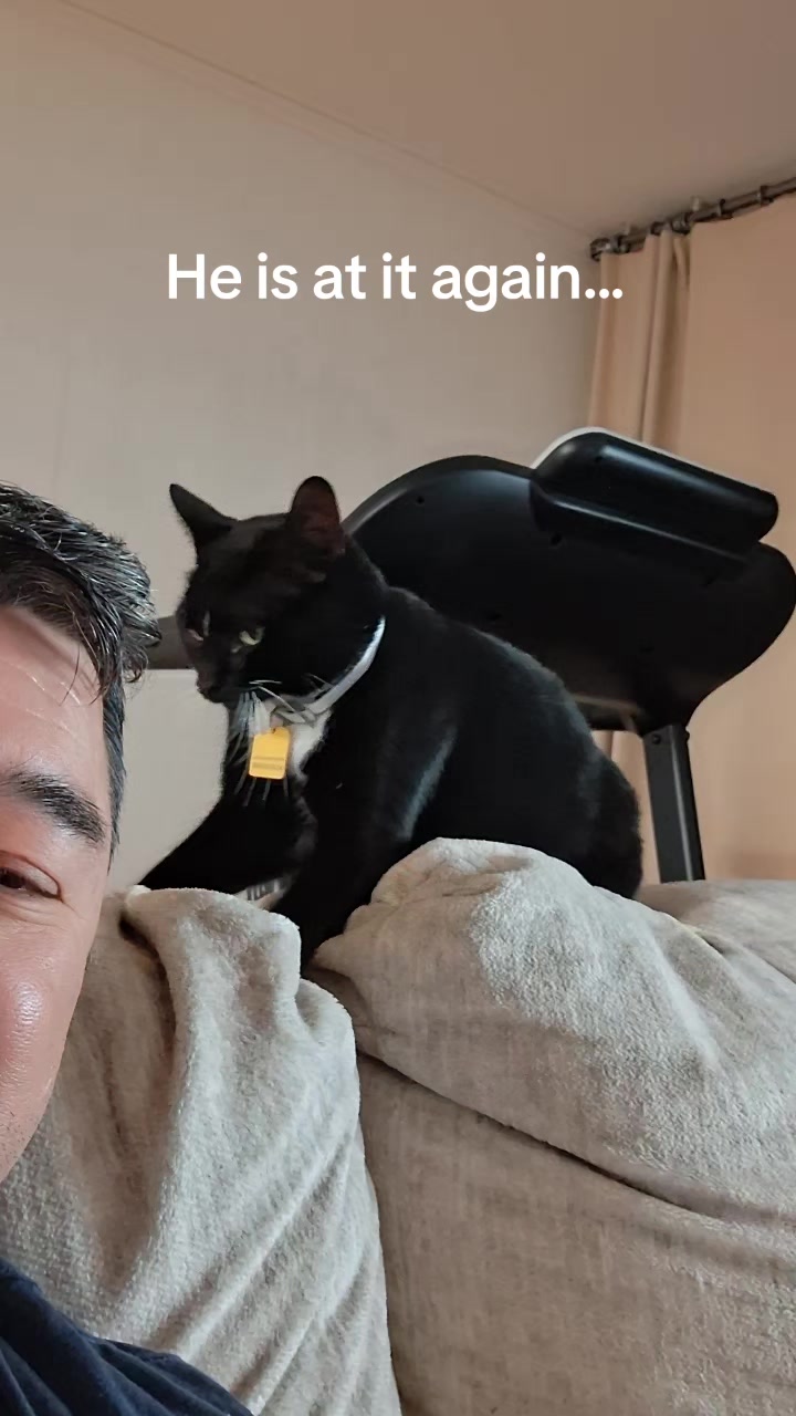 @Random Cat Stuff