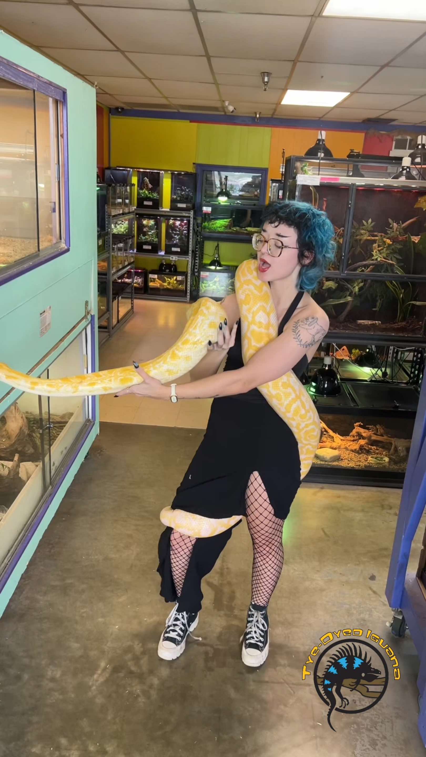 @Tye-Dyed Iguana