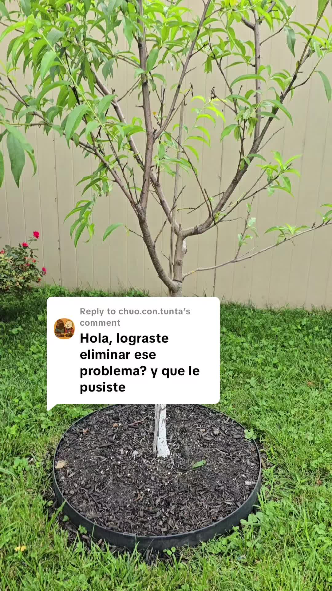 @Juanita Solis