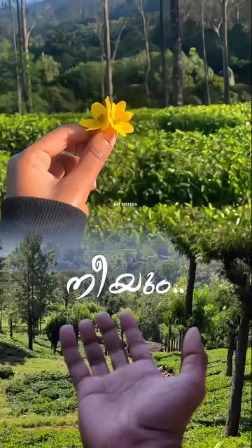 @monuttan