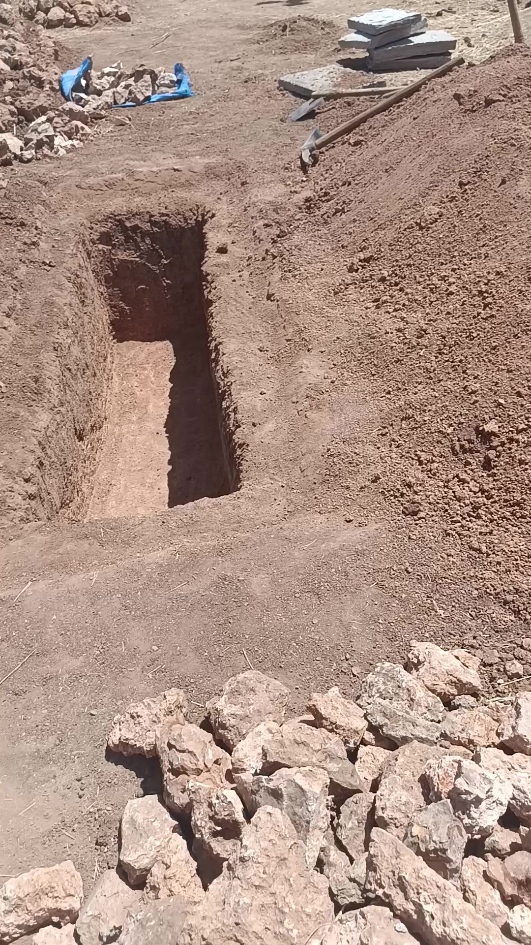 @آميرة جنات