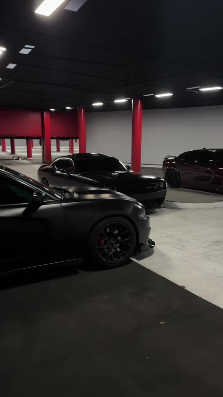 @Srtcam