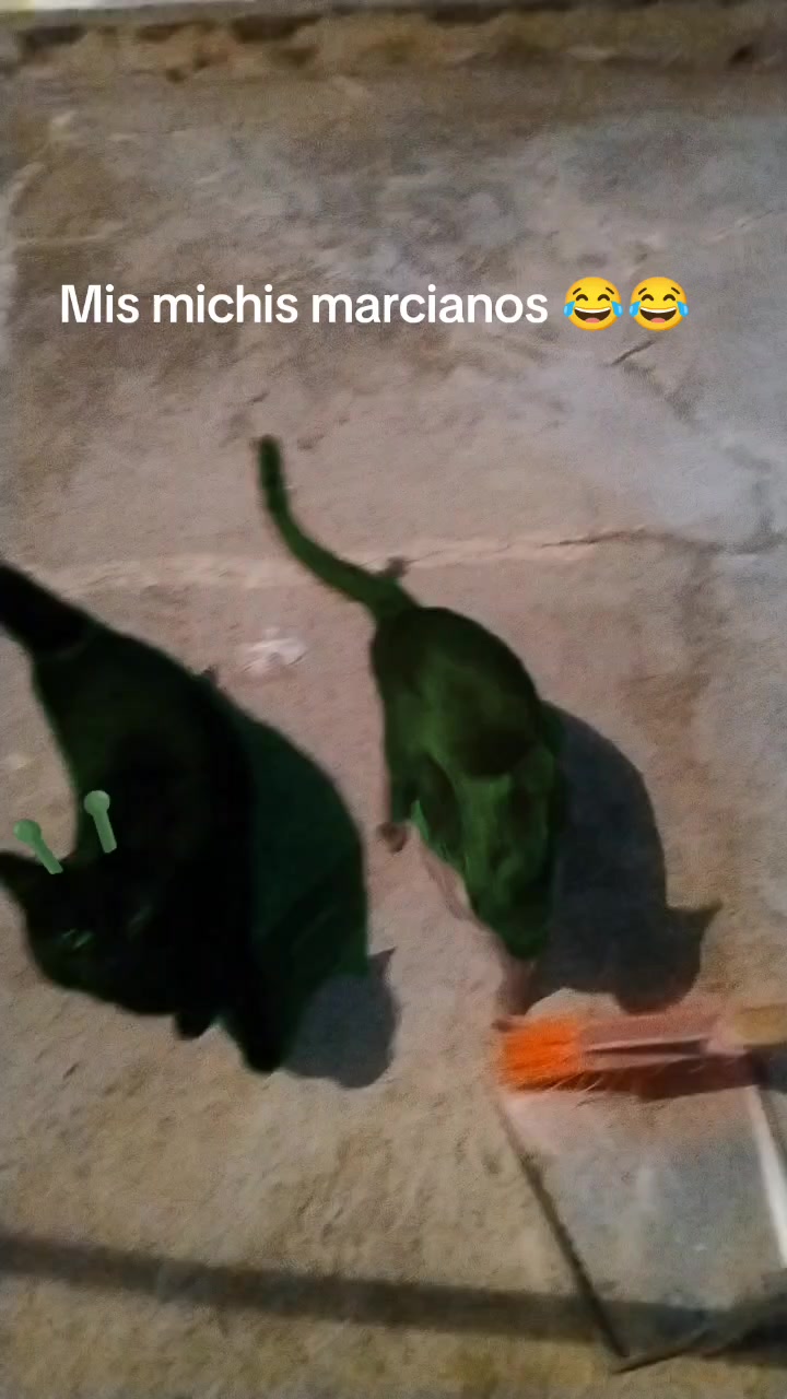 @Margarita Herrera