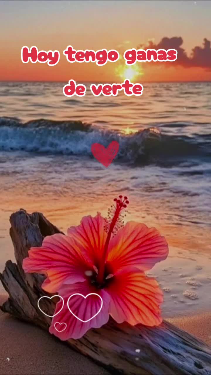 @🌺🌴Morena Ballesteros🌴🌹