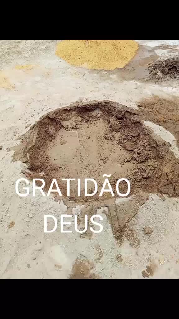 @macedopaes