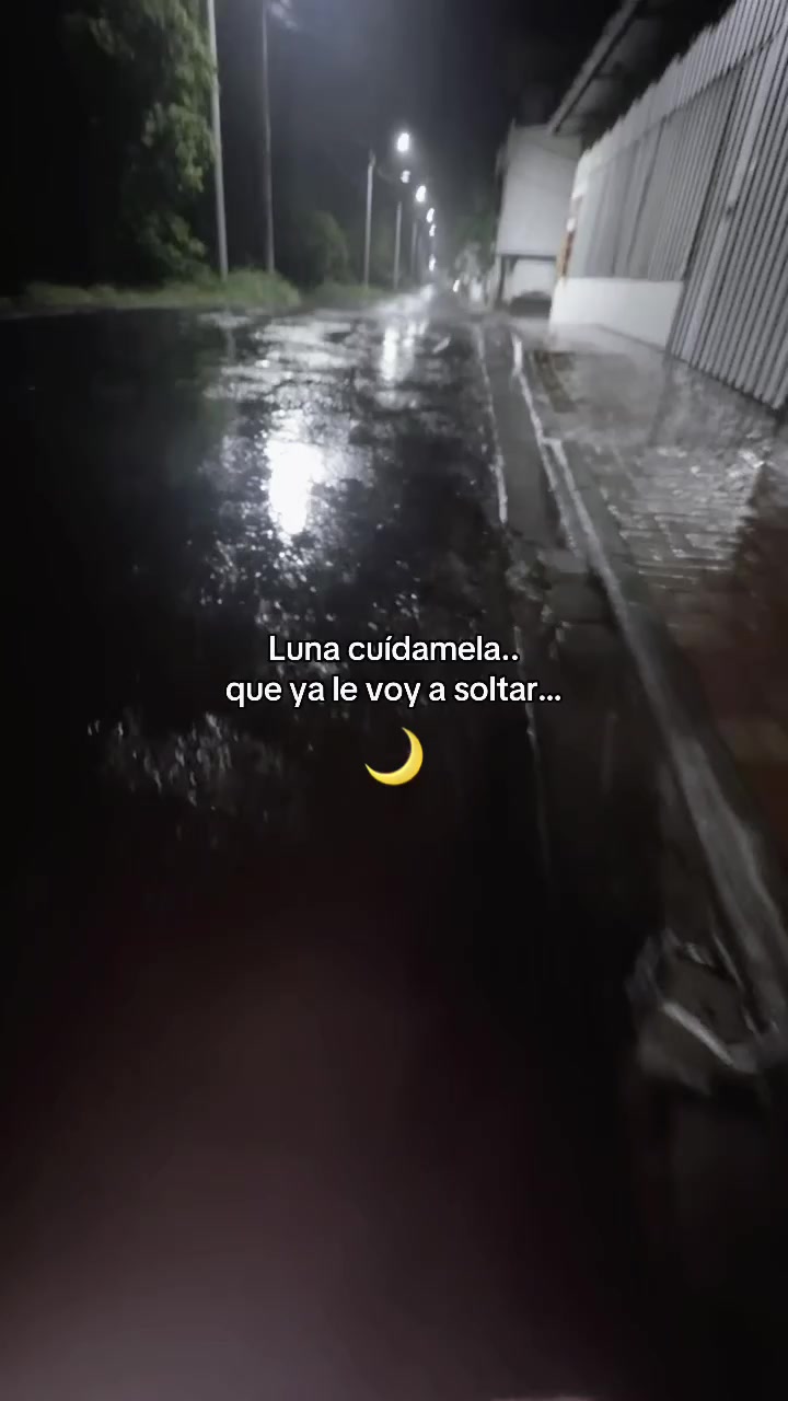 @Rocco 🐺