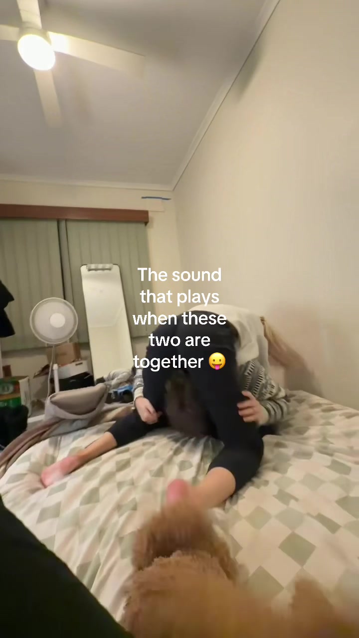 @gelat.com.au