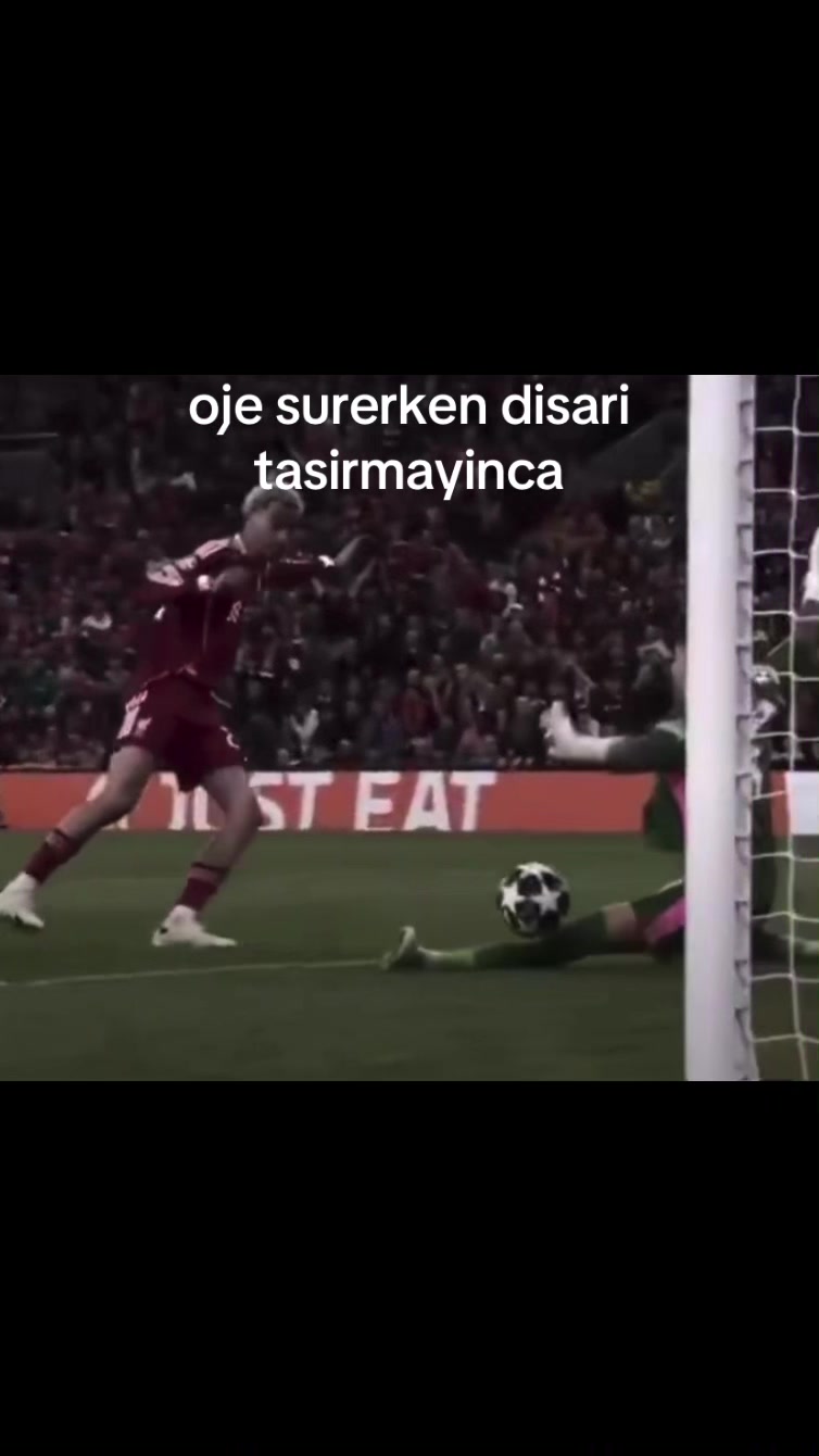@tembelsi hayvan