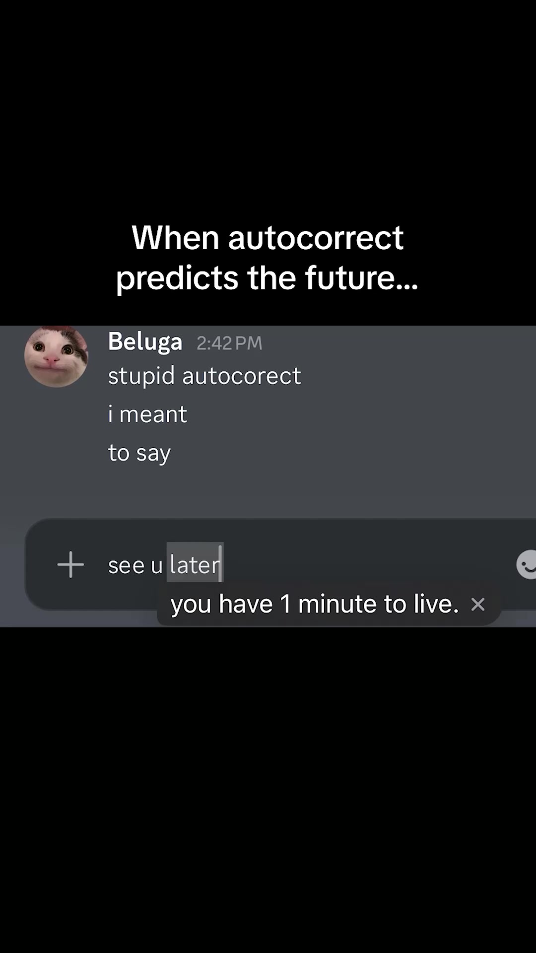 @Beluga