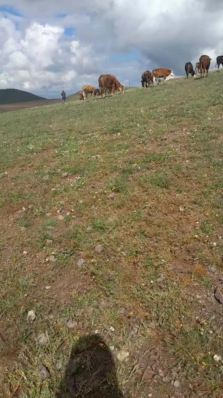 @sivaslı