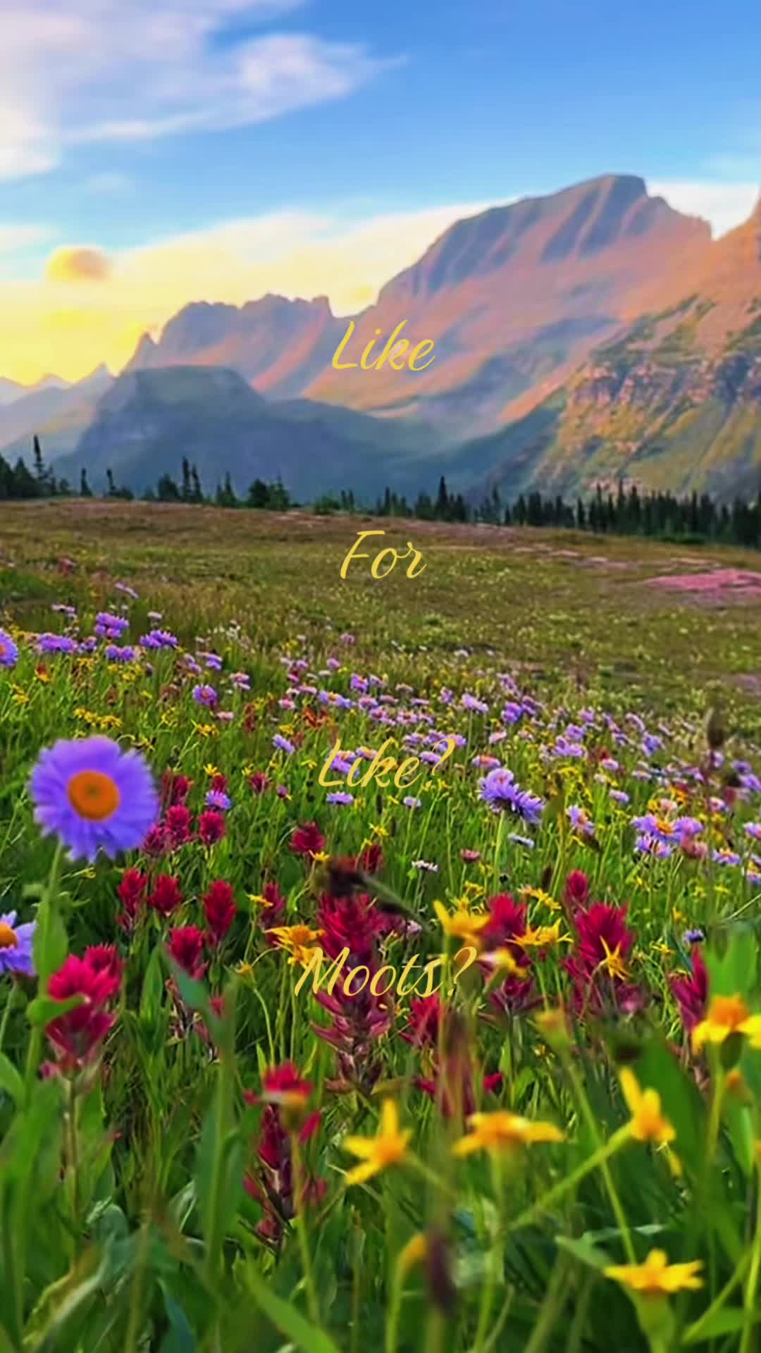 @mootsforevery0ne