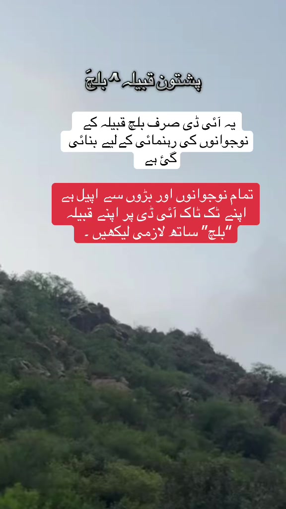 @⚔️قبیلہ بلچ پختون⚔️