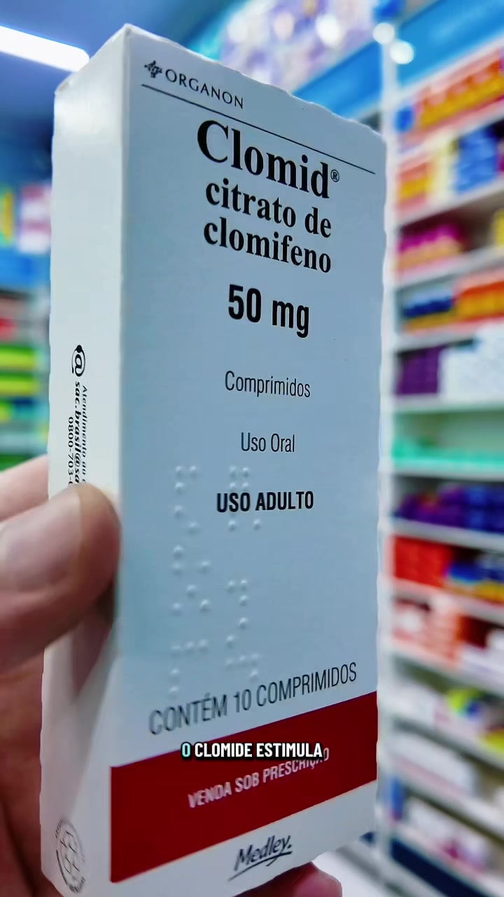 @Meu Dia a Dia no Trabalho