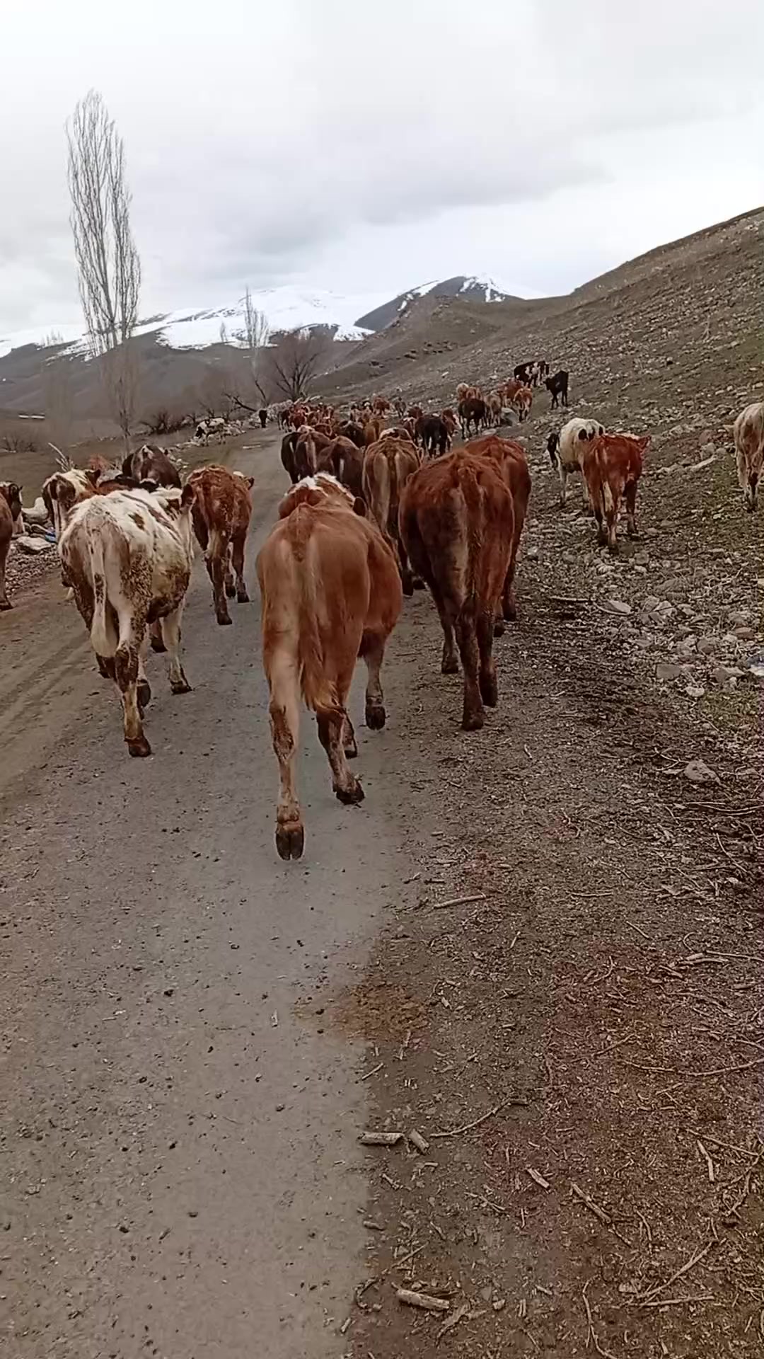 @Emre G&uuml;lmez
