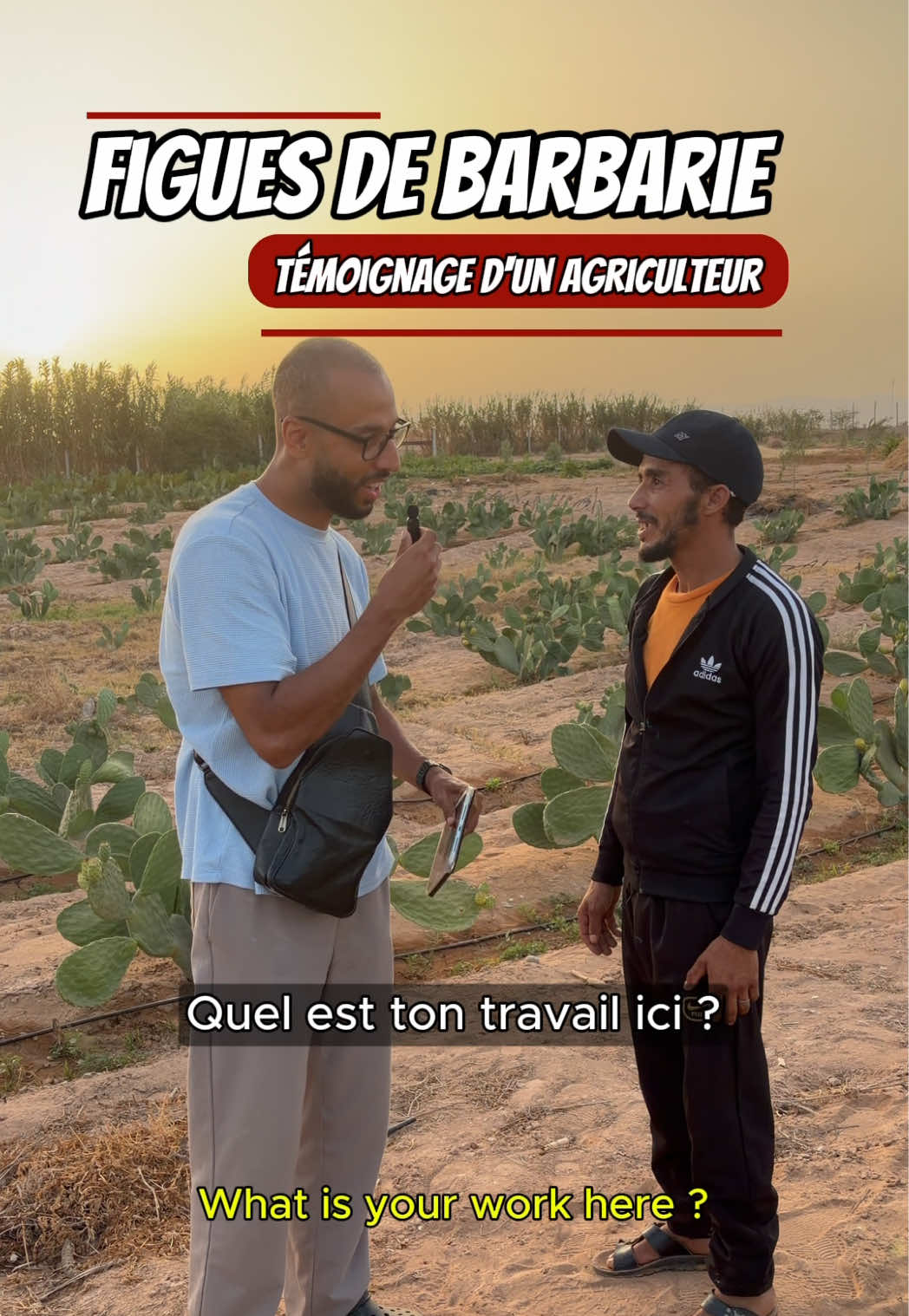 @Mehdi Chafiai