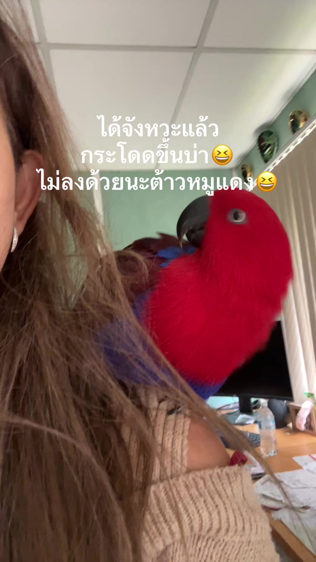 @Female parrot🥰👫🦜
