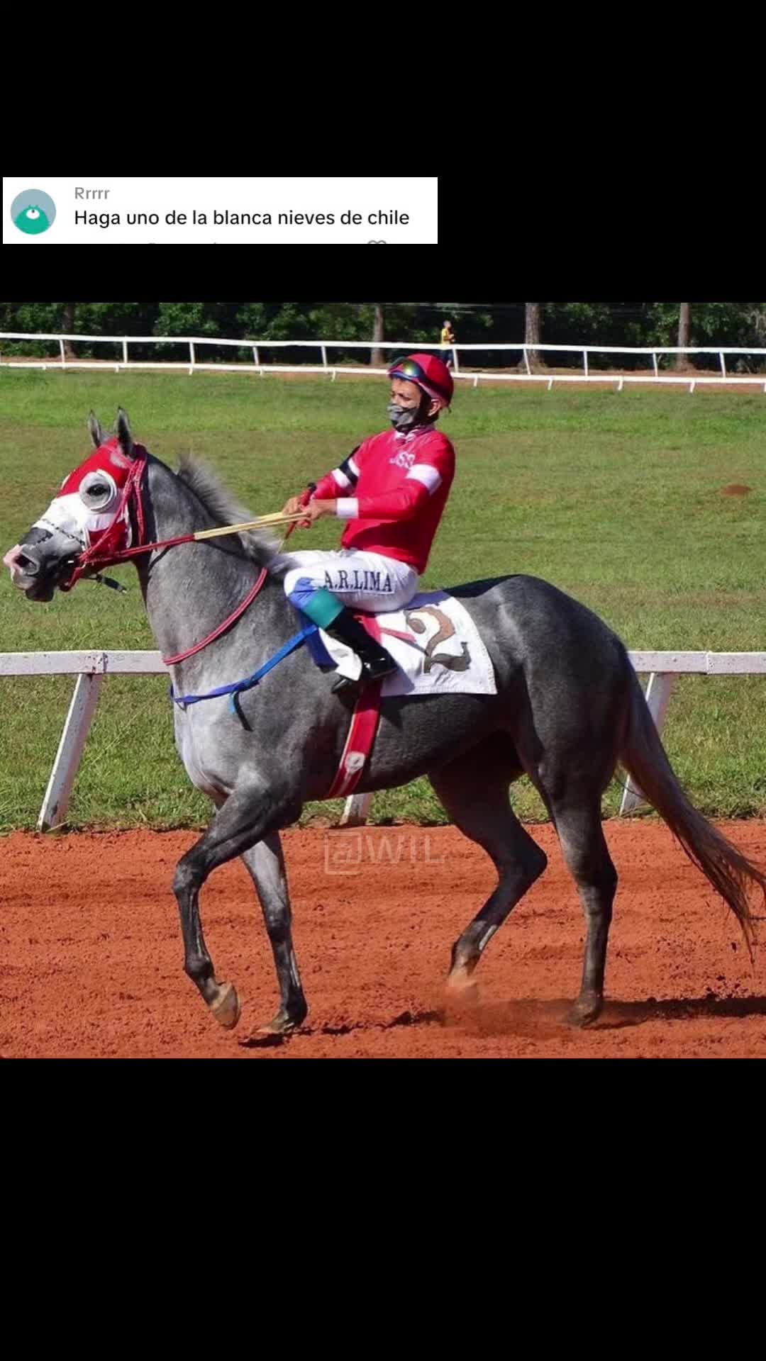 @WIL.🐎