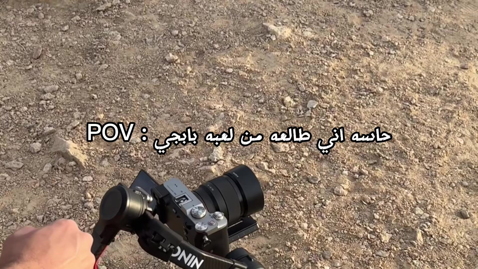@أرتميس >w<