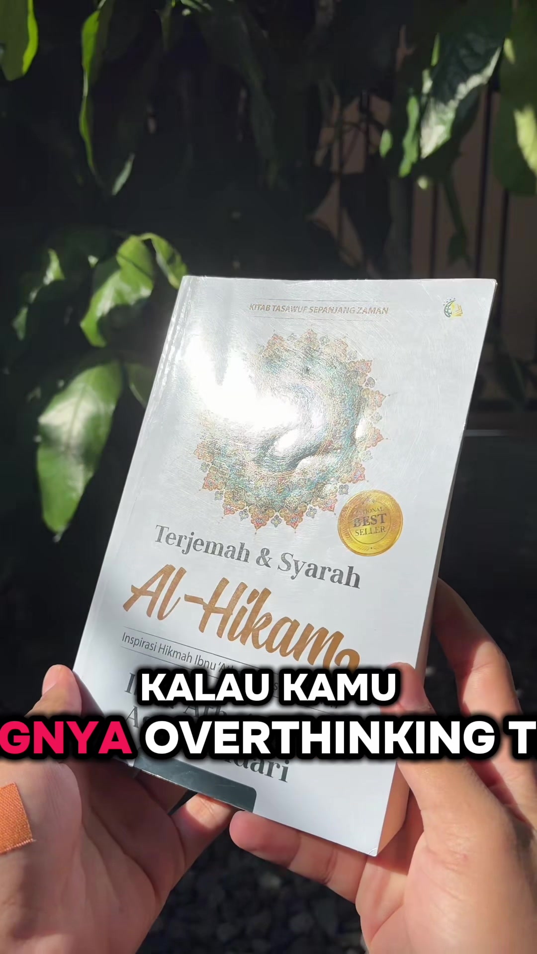 @Kak Maulana | Konsultan