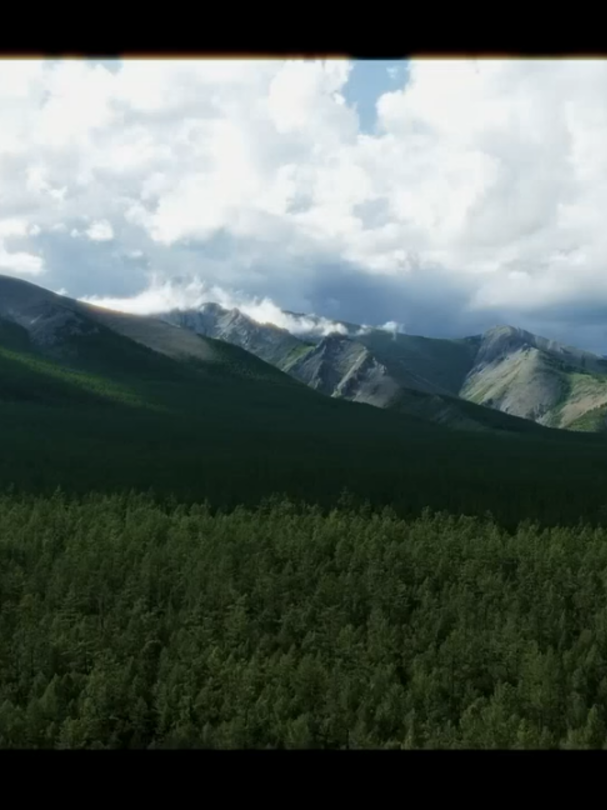 @green_group_21_aimag