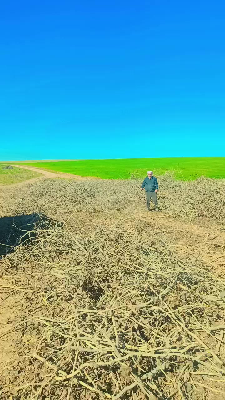 @Hasan Kirmizi