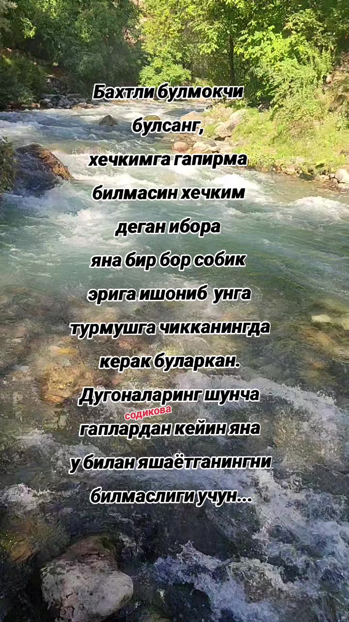 @mts999